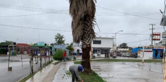 Sanean cuadrillas del Municipio áreas públicas