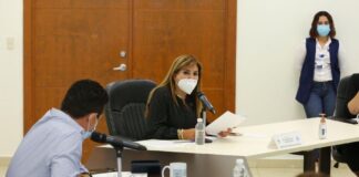 “Preocupante que se utilice Instituciones para perseguir a críticos del gobierno”: Diputada Roxana Gómez