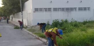 Realiza personal de Limpieza Pública, Limpieza y Chapoleo, en diferentes sectores de la ciudad