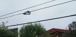 Listo Municipio para continuar recolección en escuelas públicas