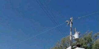 Atiende Municipio zona rural con alumbrado público y limpieza