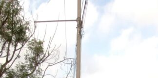 Retira Servicios Primarios basura que genera encharcamiento en Fuentes Sección Lomas.