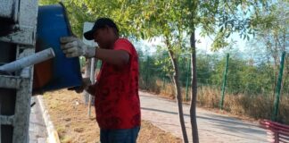 Dará Municipio servicio de recolección en el Sector Oriente