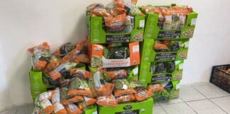 Gobierno Municipal, realiza gestiones internacionales para apoyos alimentarios