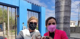 Sistema DIF. que preside la Señora Malena Rodela De Villegas hizo entrega de alimento para mascotas