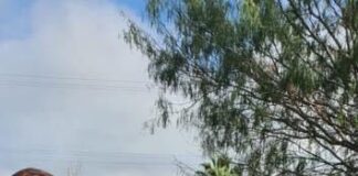 Festeja DIF Reynosa a abuelitos