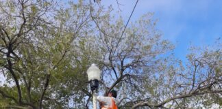 REAHBILITA GOBIERNO DE RÍO BRAVO, PLAZA PRINCIPAL DE N. PROGRESO