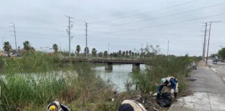 Coordinación de Servicios Públicos Primarios, realizan limpiezas para prevenir encharcamientos.