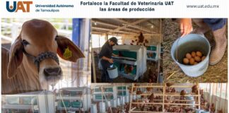 Fortalece UAT las áreas de producción de la Facultad de Veterinaria