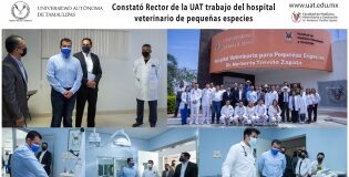 Constató Rector de la UAT trabajo del Hospital Veterinario de Pequeñas Especies