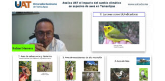 Analiza UAT el impacto del cambio climático en especies de aves