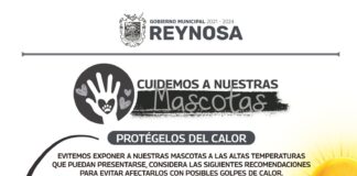 Exhorta Municipio a cuidar de altas temperaturas a animales de compañía