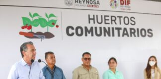 Continúa programa de Huertos Comunitarios, por parte del Ayuntamiento.