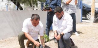 Llega programa Huertos Comunitarios a colonia Carlos Cantú