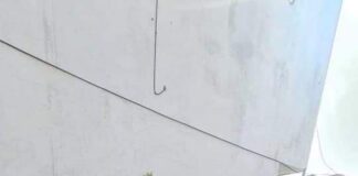 Velan DIF-Reynosa y Municipio por salud de sus abuelitos