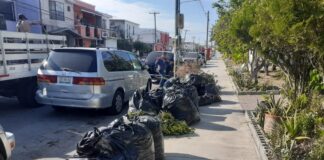 Atiende Carlos Peña solicitudes de limpieza y mejoramiento urbano