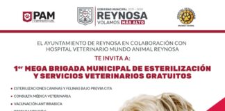 LLEGA A REYNOSA MEGA BRIGADA DE ATENCION A PERROS Y GATOS POR PARTE DEL GOBIERNO MUNICIPAL