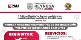 Esterilización gratuita para perros y gatos por parte del Gobierno Municipal y Mundo Animal