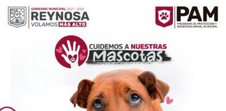 Dispone Gobierno de Reynosa línea telefónica para denunciar maltrato animal