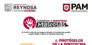Uso de pirotecnia afecta a mascotas: Gobierno de Reynosa