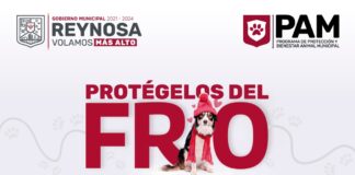 Gobierno Municipal de Reynosa Exhorta a proteger a las mascotas, no exponerlas a la intemperie