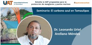 Estudia la UAT propuestas para la protección de manglares y pastos marinos