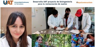 Desarrolla UAT proyecto de bioingeniería para la restauración de suelos