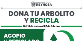 Activó Gobierno de Reynosa Centro de Acopio de pinos navideños