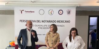 PROMOVER INICIATIVAS EN CONGRESO : C.N.N.M.