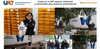 Crean en la UAT espacio ambiental y sustentable para especies polinizadoras