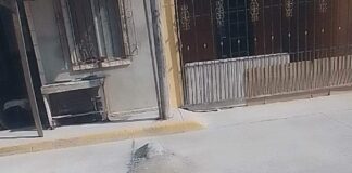 Y… SIGUE OTRA DE VECINO, VECINO ABUSIVO, QUE SE CREE DUEÑO DE LA CALLE…..