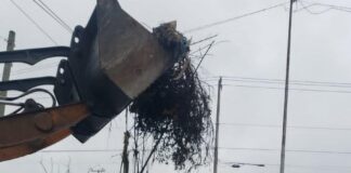 Atendió Gobierno de Carlos Peña Ortiz emergencias derivadas de tormenta