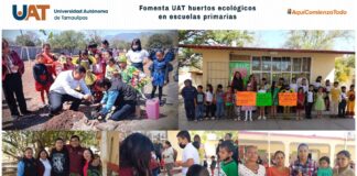 Fomenta UAT huertos ecológicos en escuelas primarias