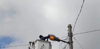 PERSONAL ADSCRITO AL DEPARTAMENTO DE ALUMBRADO PUBLICO DEL MUNICIPIO, REPARAN LAMPARAS DAÑADAS EN EJIDO 6 DE ENERO