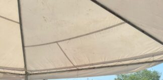 GOBIERNO DE REYNOSA, A TRAVES DEL MODULO DE REPUVE ATIENDE SOLICITUDES DE CIUDADANOS, PARA LA REGULARIZACION DE VEHICULOS