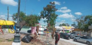 Rehabilita Gobierno de Reynosa áreas verdes y plazas públicas