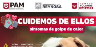 Exhorta Gobierno de Reynosa a cuidar mascotas ante ola de calor