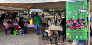 Apoya Alcalde Carlos Peña Ortiz emprendimiento artístico