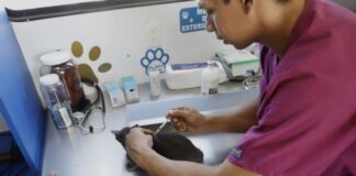 Impulsa Gobierno de Reynosa el cuidado animal