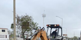 Transforma Alcalde Carlos Peña Ortiz imagen de Reynosa con reforestación