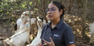 Analiza UAT innovaciones de mejoramiento para la producción caprina