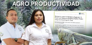 Destaca la UAT en investigaciones sobre el control biológico de plagas